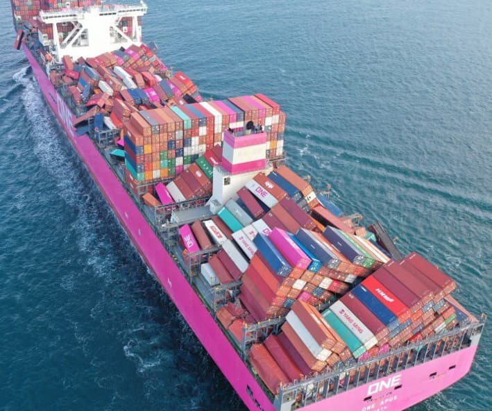 Cargo surveying